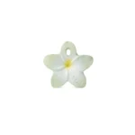 Glodalica mini Bali the flower