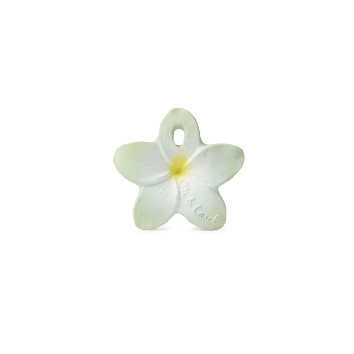 Glodalica mini Bali the flower - Image 1