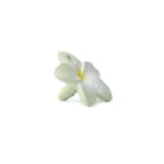 Glodalica mini Bali the flower - Image 2