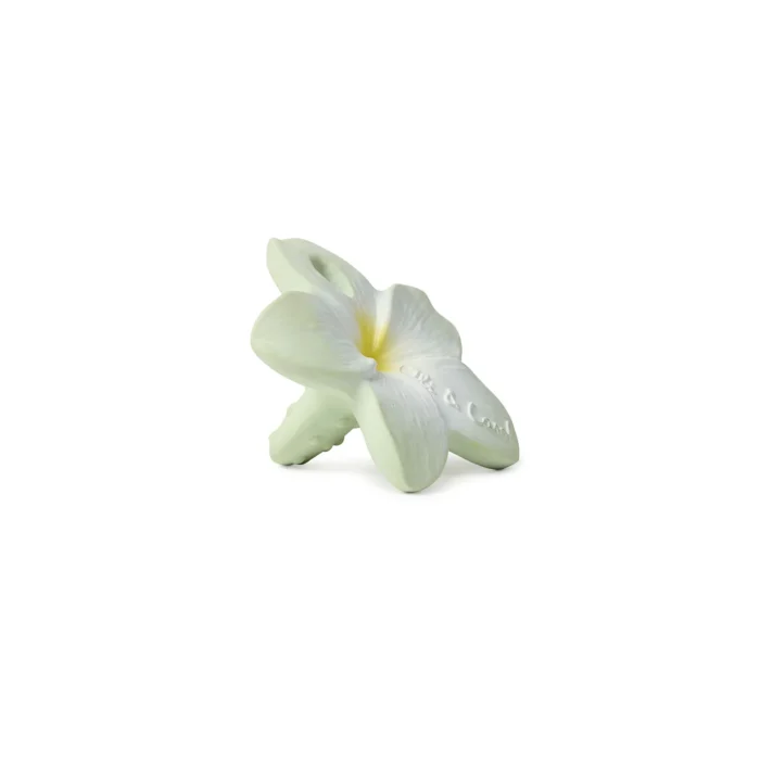Glodalica mini Bali the flower - Image 2