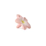 Glodalica mini Bella the flower - Image 2