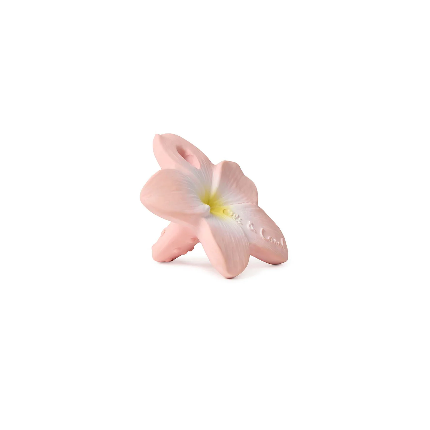 L-CHEWY-FLOWER-PINK_2 Glodalica mini Bella the flower - Image 2