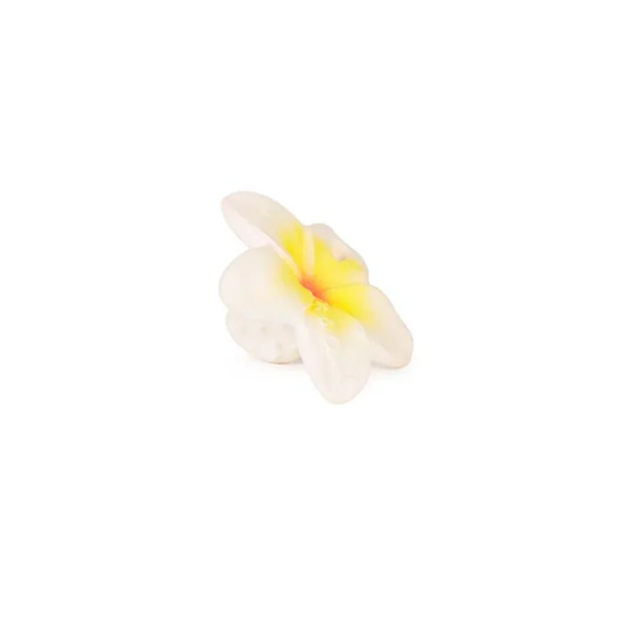 Glodalica mini Hawaii the flower - Image 2