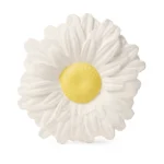 Glodalica Margarita Bijela Rada