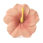 Glodalica Hibiscus Iris