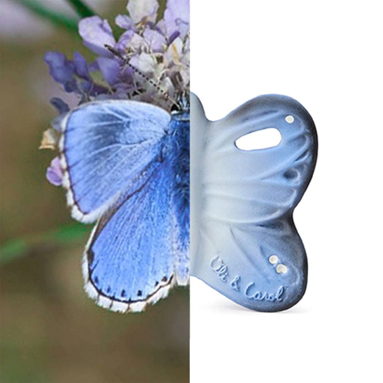 blues3_f6473f0e-456b-465d-a66e-03acdbf55242 Glodalica mini Blues the Butterfly - Image 4