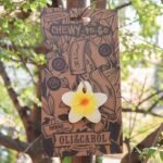 Glodalica mini Hawaii the flower - Image 7