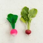 Glodalica Ramona the Radish - Image 5